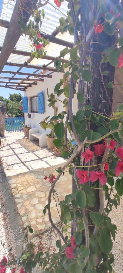Sweet Old House Apartment Marsala Exterior photo